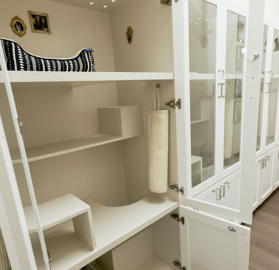 Feline Suite at The Pet Hotel Fairfield