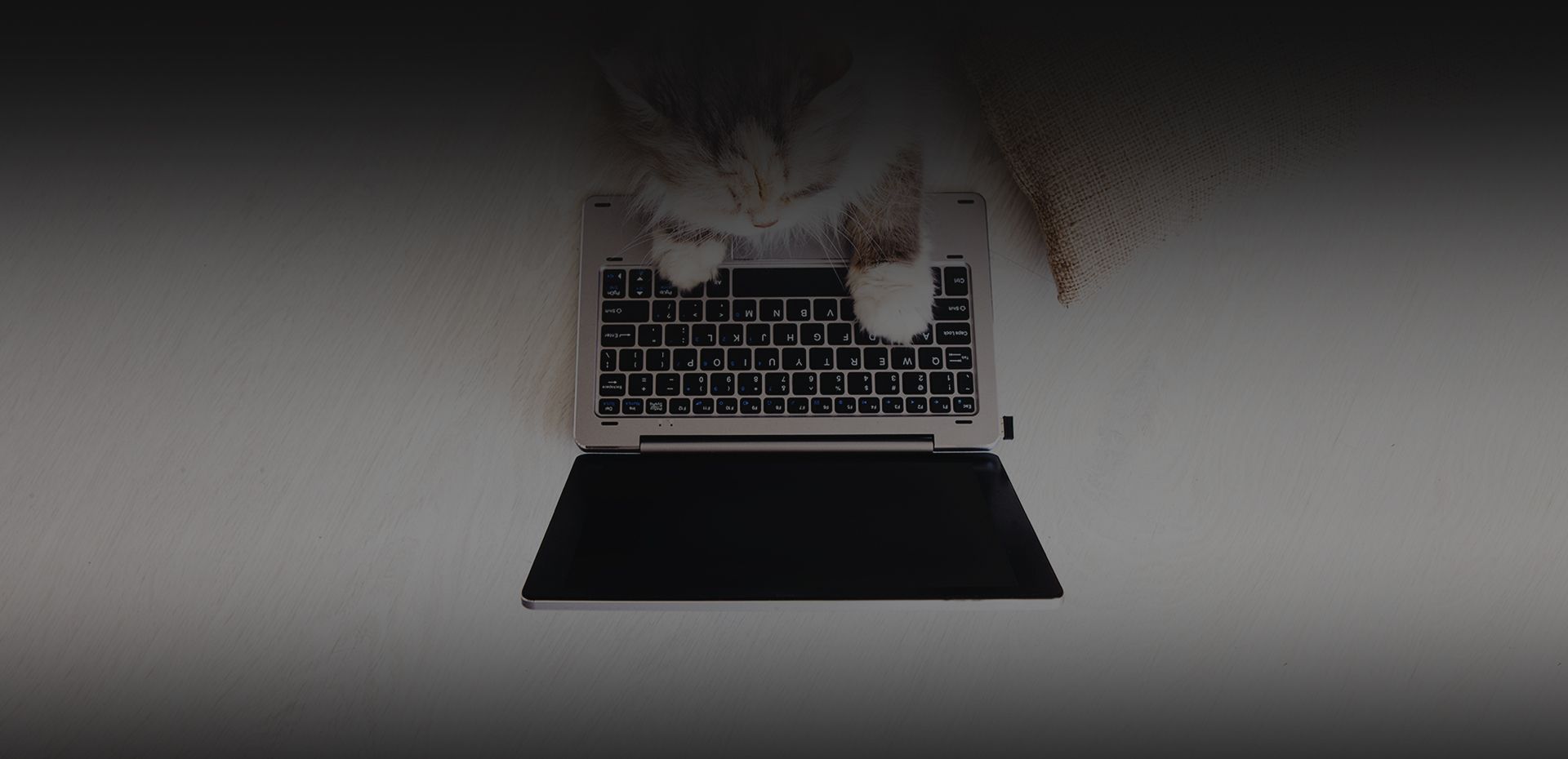 fluffy cat lays wooden floor with laptop front it